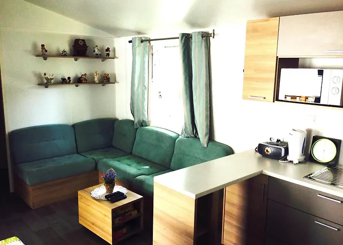 Mobile * 생장드몽